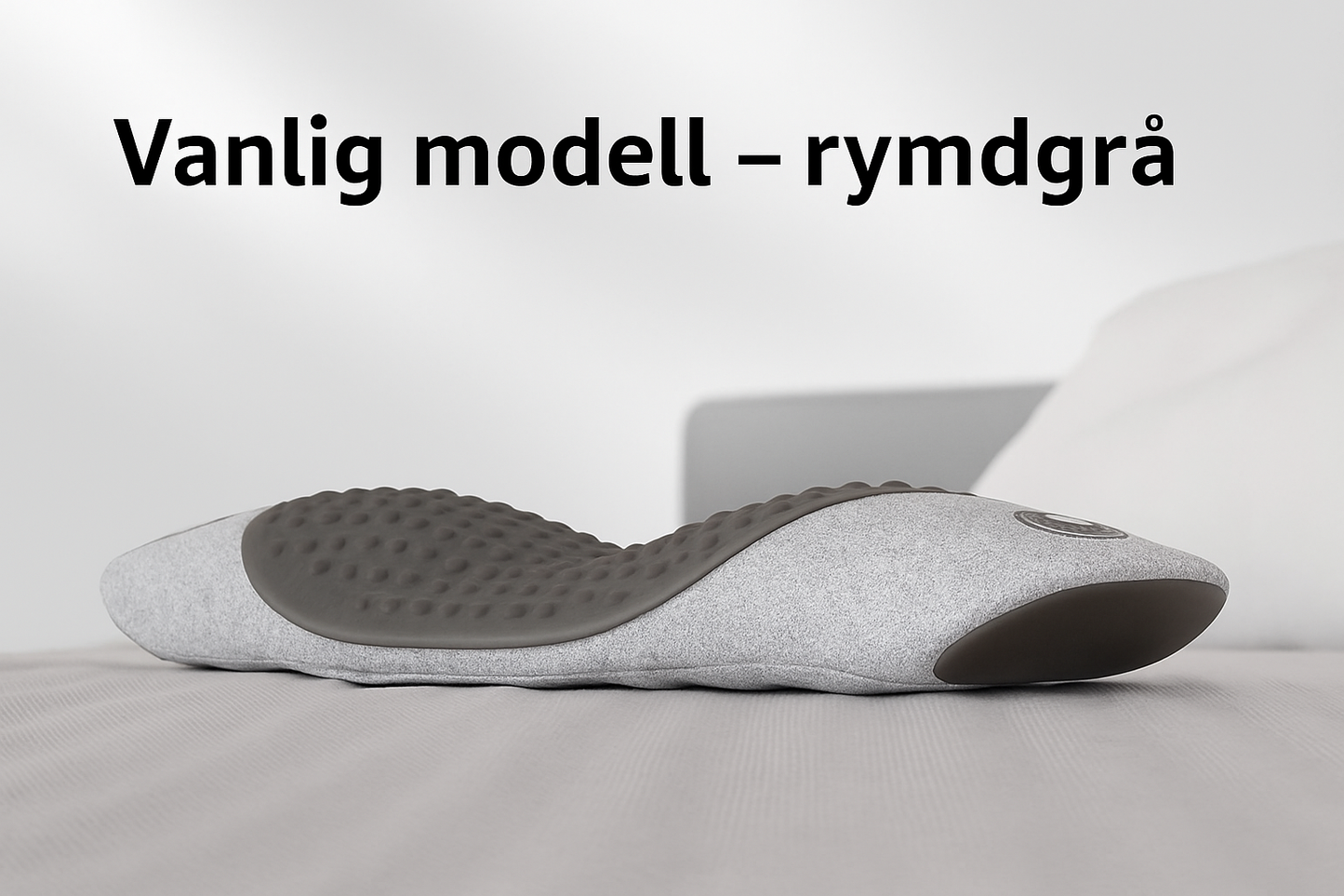 Ryggkudde