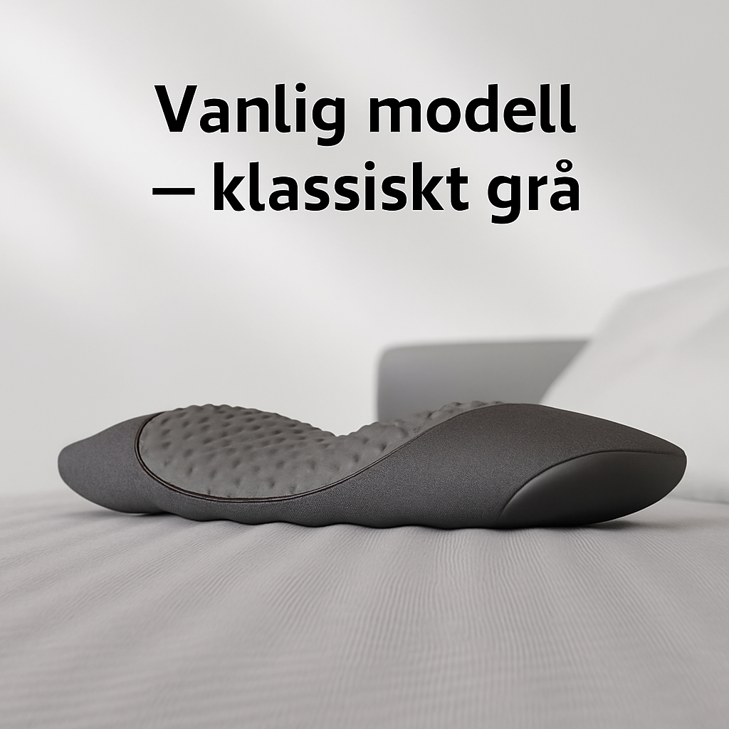Ryggkudde
